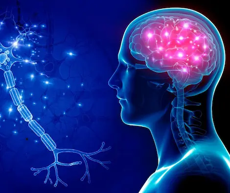 Brain Health