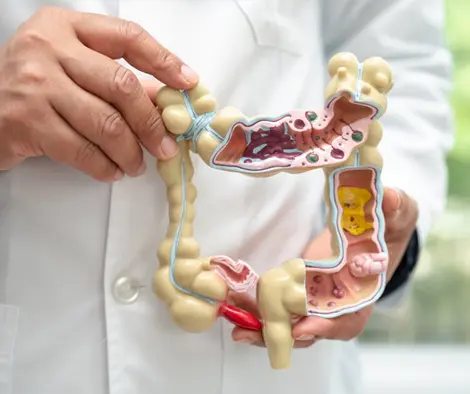 Digestive Health