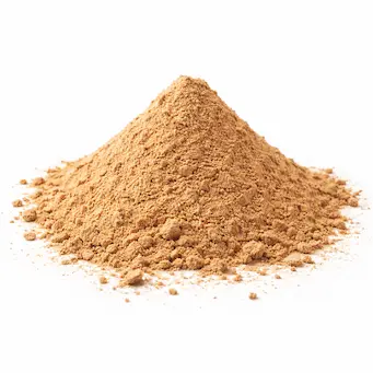 Functional Mushroom Extracts