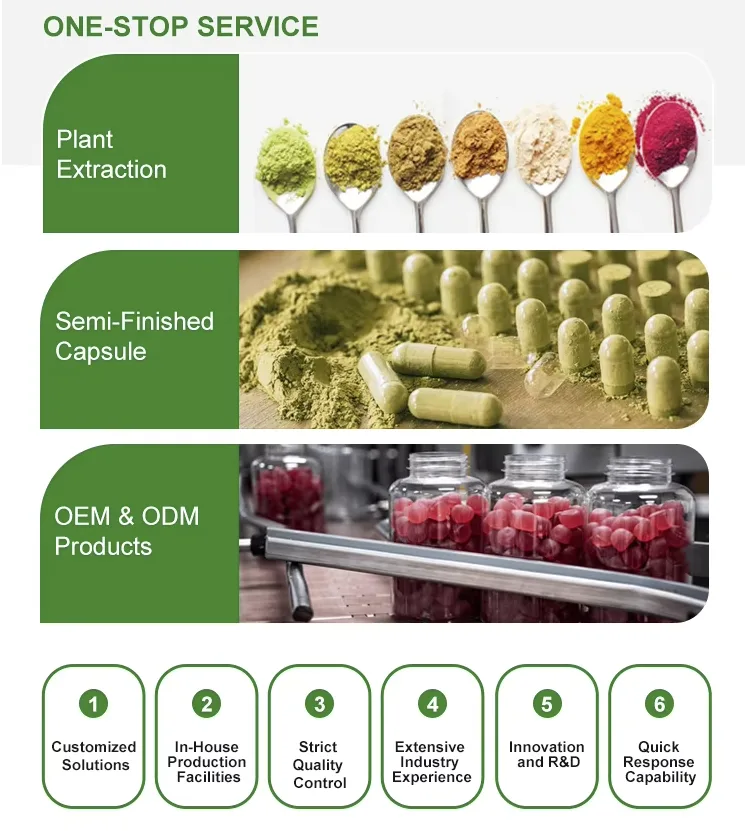 Home Bulk Factory