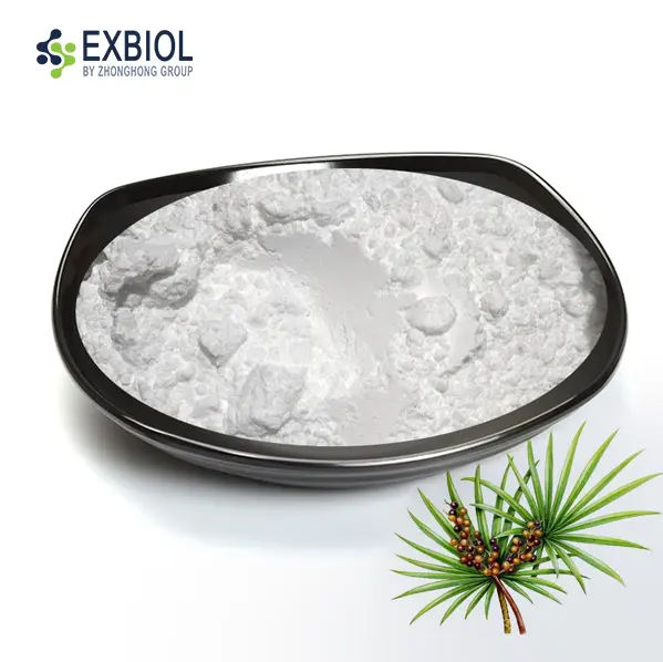 Bulk Saw Palmetto Extract 45% pure amber oil in 25kg industrial drum, Exbiol factory production.