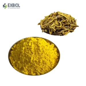 Bulk Berberine HCl 98% pure yellow crystalline powder in factory fiber drum, Exbiol manufacturing facility.