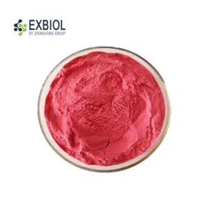 Bulk Anthocyanin Extract 25% pure deep-purple powder in industrial 25kg fiber drum, Exbiol factory batch production.