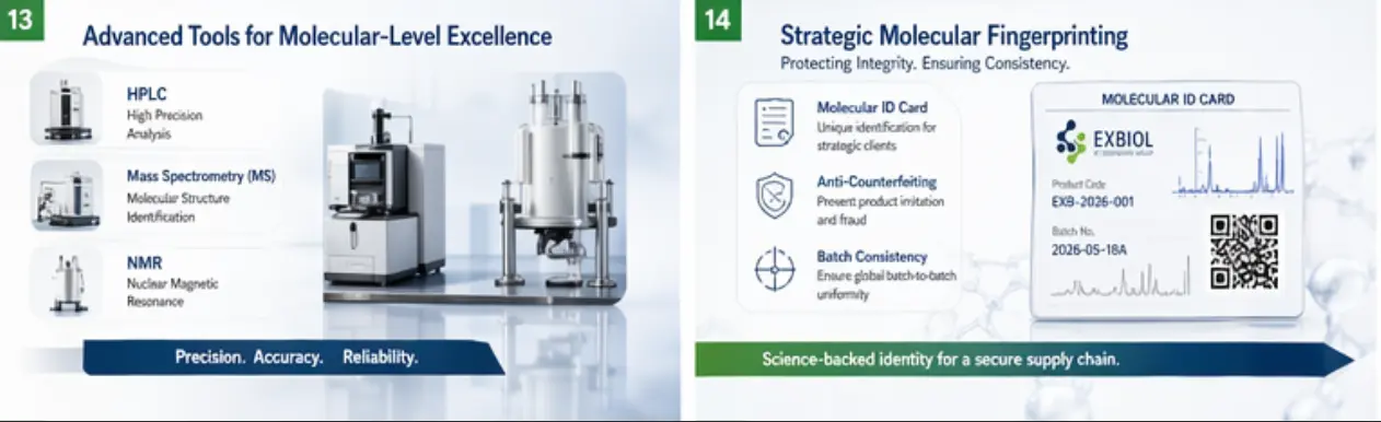 Molecular Fingerprinting Preview