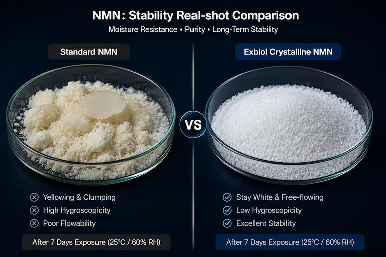 NMN Crystalline vs Amorphous