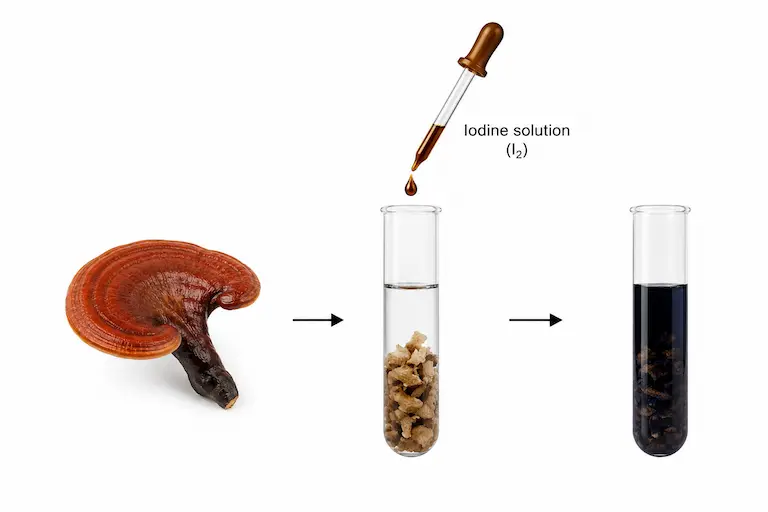 Reishi Iodine Starch Test