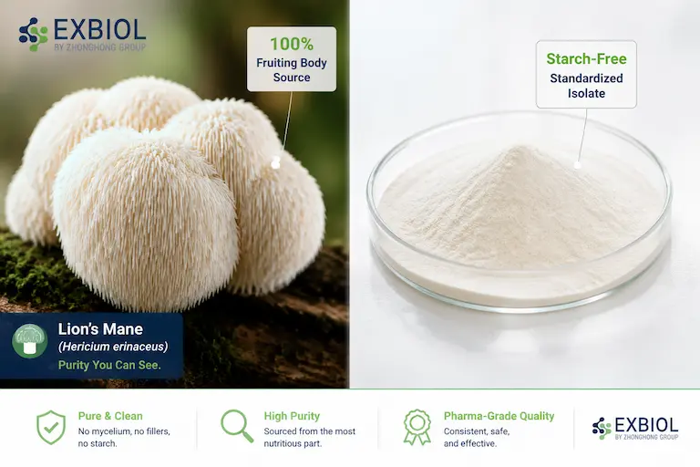 Bulk Lion's Mane Extract Purity and Starch Verification