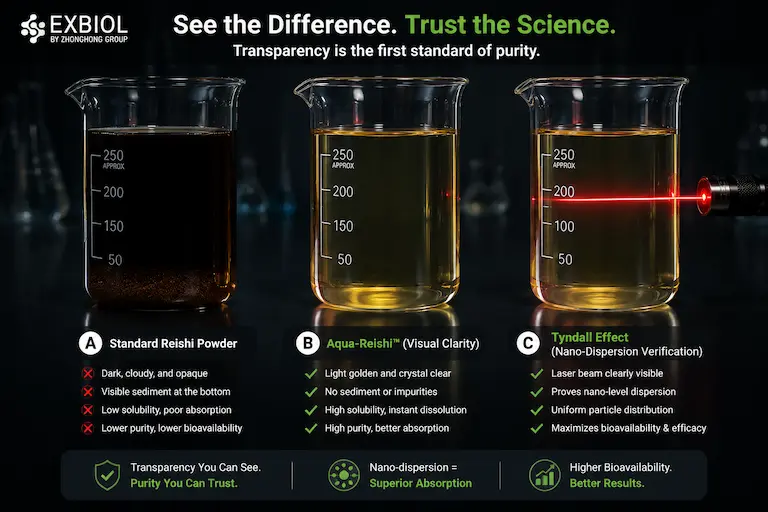 Water Soluble Reishi Solubility Tyndall Proof