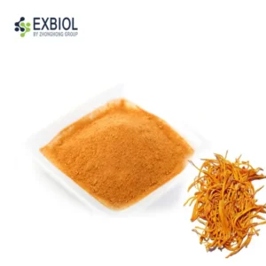 High-purity Cordyceps Militaris isolate verified via DNA barcoding and HPLC to ensure 100% fruiting body origin and zero mycelium fillers.