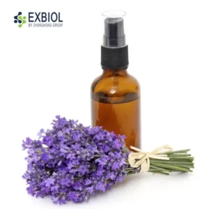 Bulk Lavender Essential Oil 100% pure limpid liquid in 25kg industrial drum, Exbiol factory batch production.