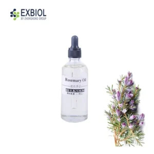 Bulk Rosemary Essential Oil 100% pure limpid liquid in 25kg industrial steel drum, Exbiol factory production.