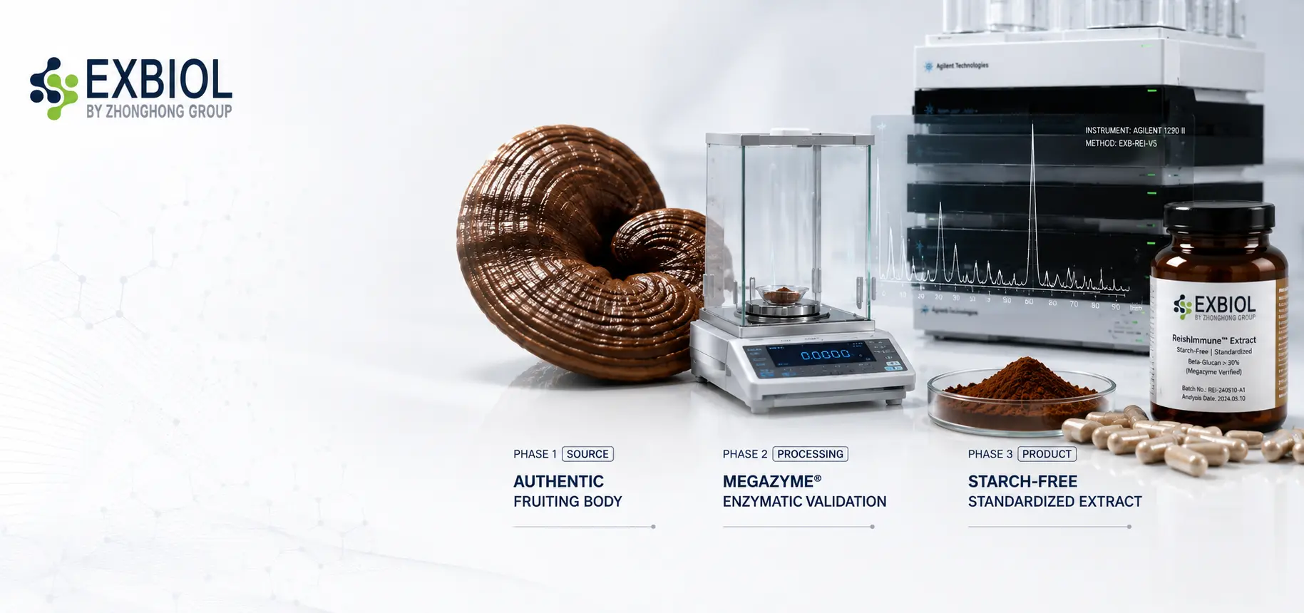 Leading Functional Mushroom Extracts Manufacturer & Supplier