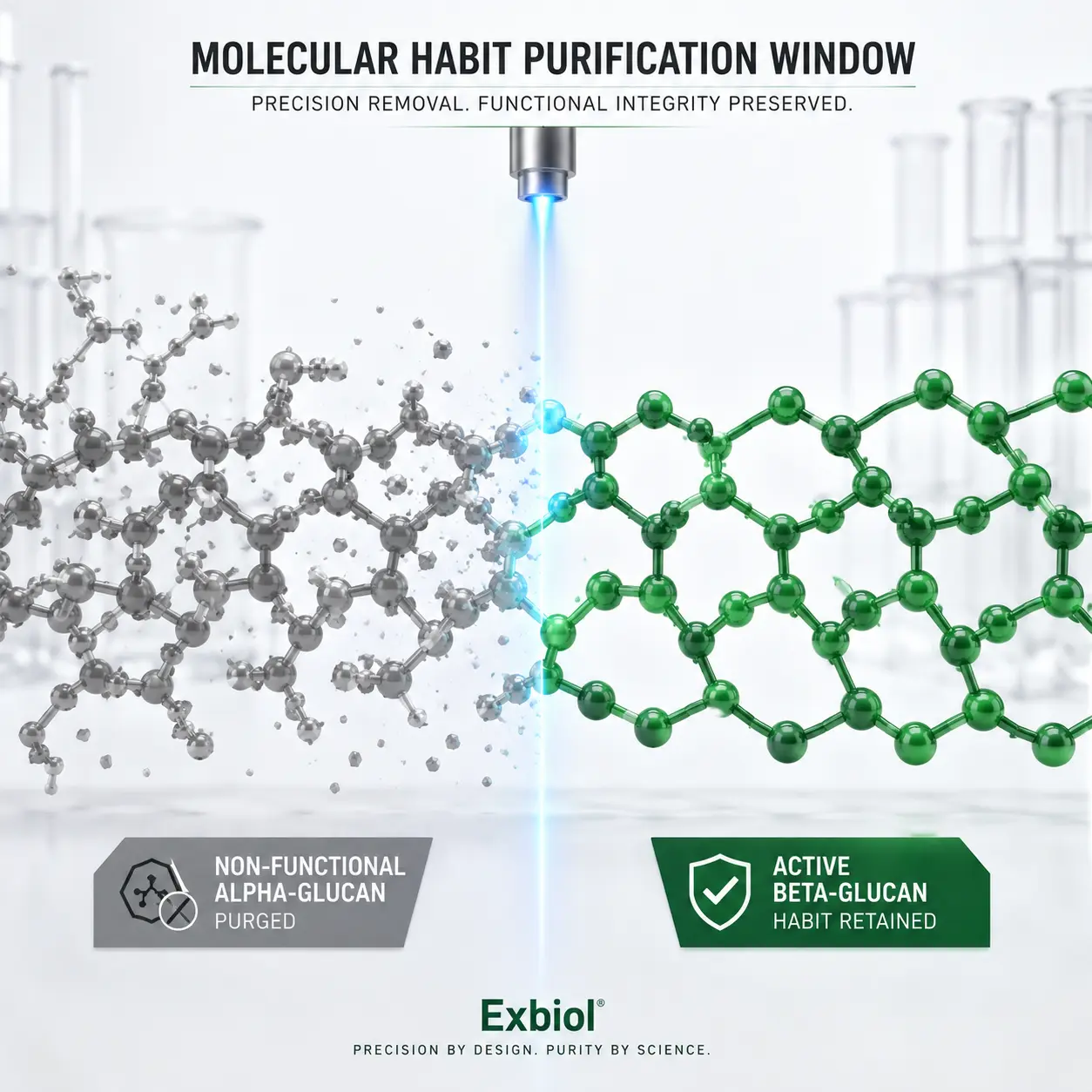 Fractionated Phyto-Enzymatic Process