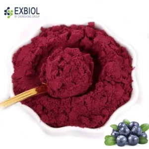 High-purity freeze-dried blueberry fruit powder with deep violet color and uniform 80-mesh texture for industrial food manufacturing.