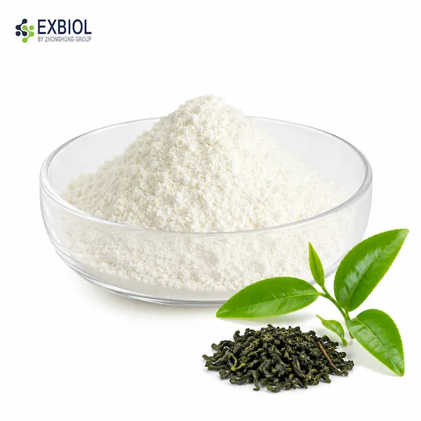 High-purity EGCG Monomer 99% white crystalline powder isolate manufactured by Exbiol.
