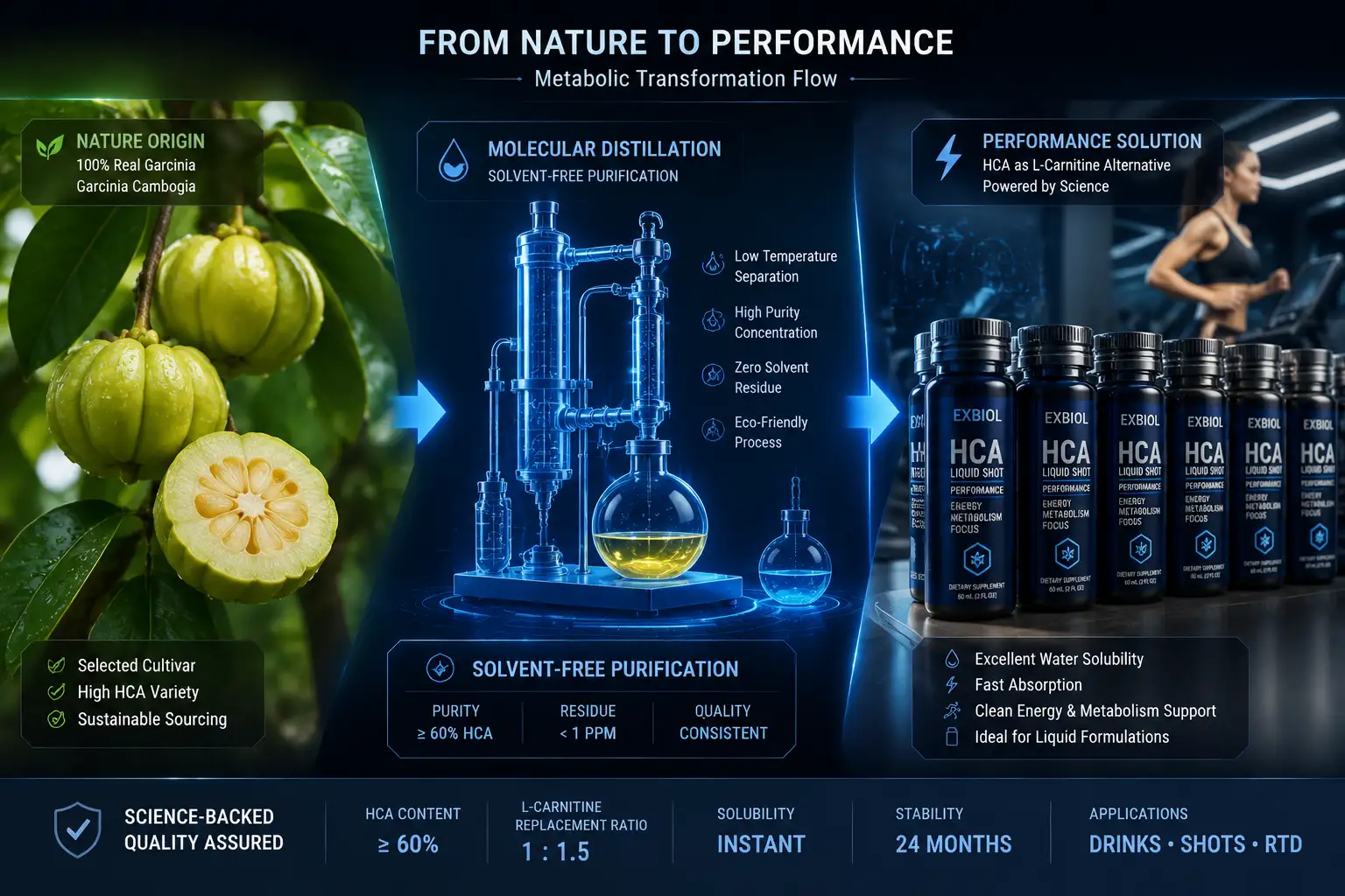 Garcinia Source to Solution