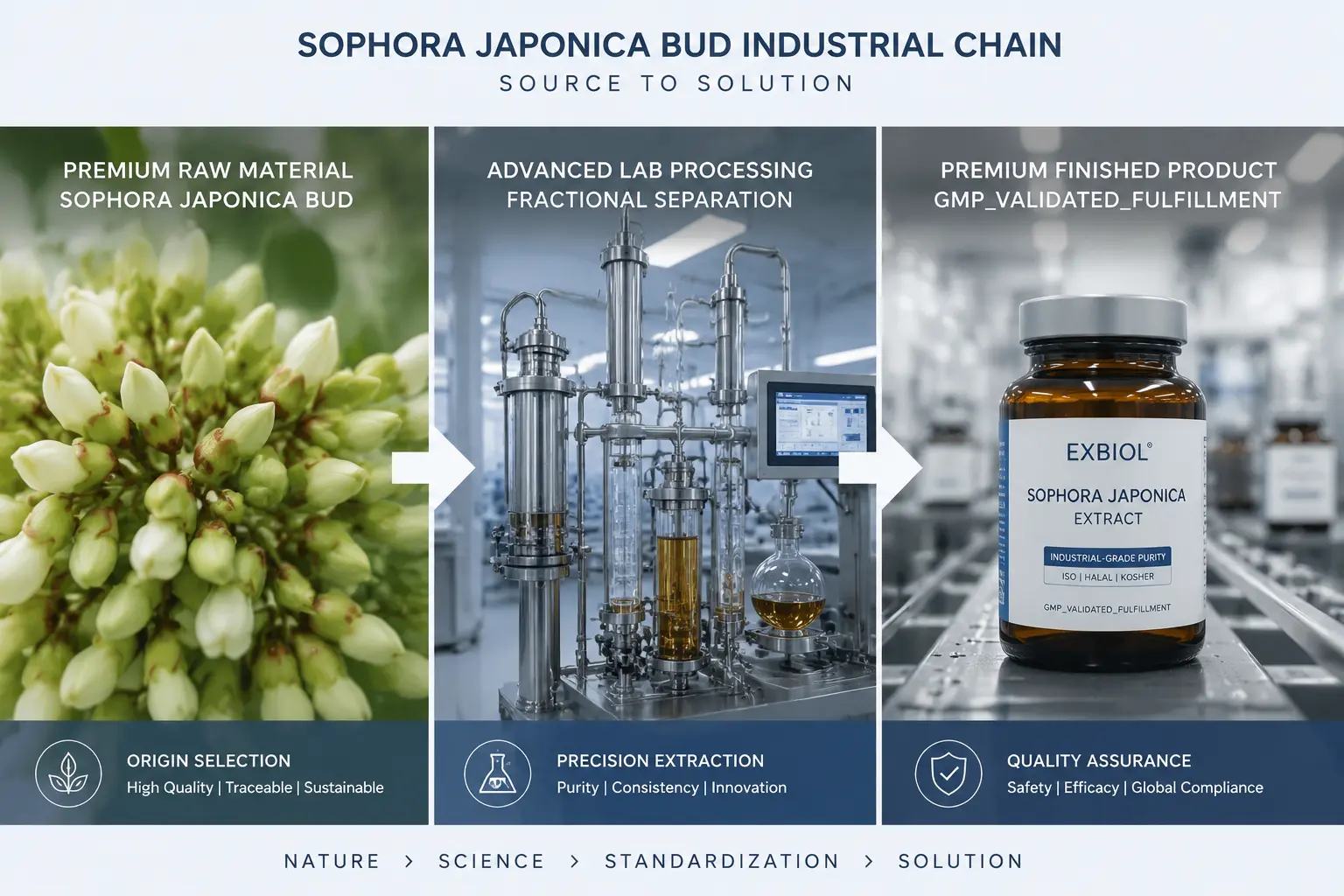Quercetin Chain Audit