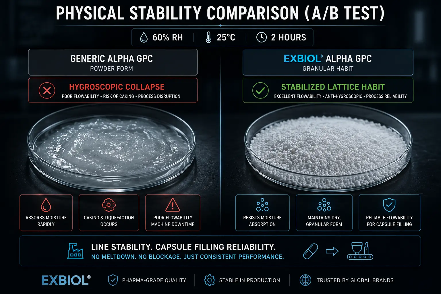 Alpha GPC 50% Maltodextrin Audit