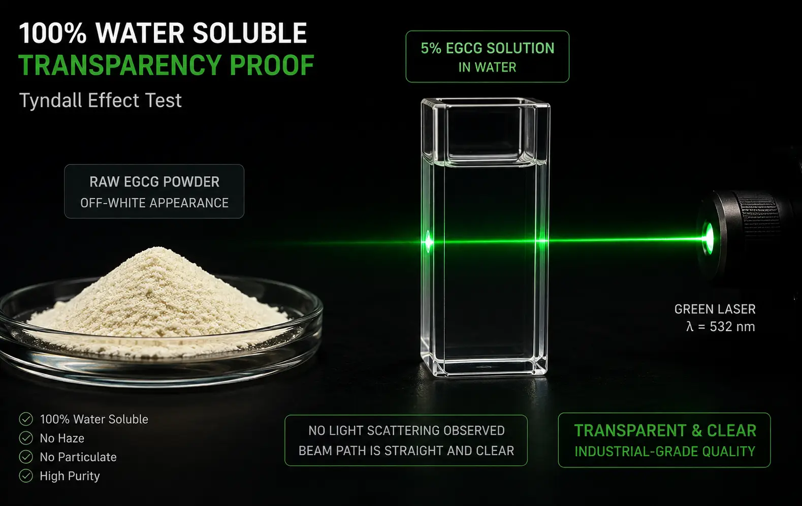 EGCG Solubility