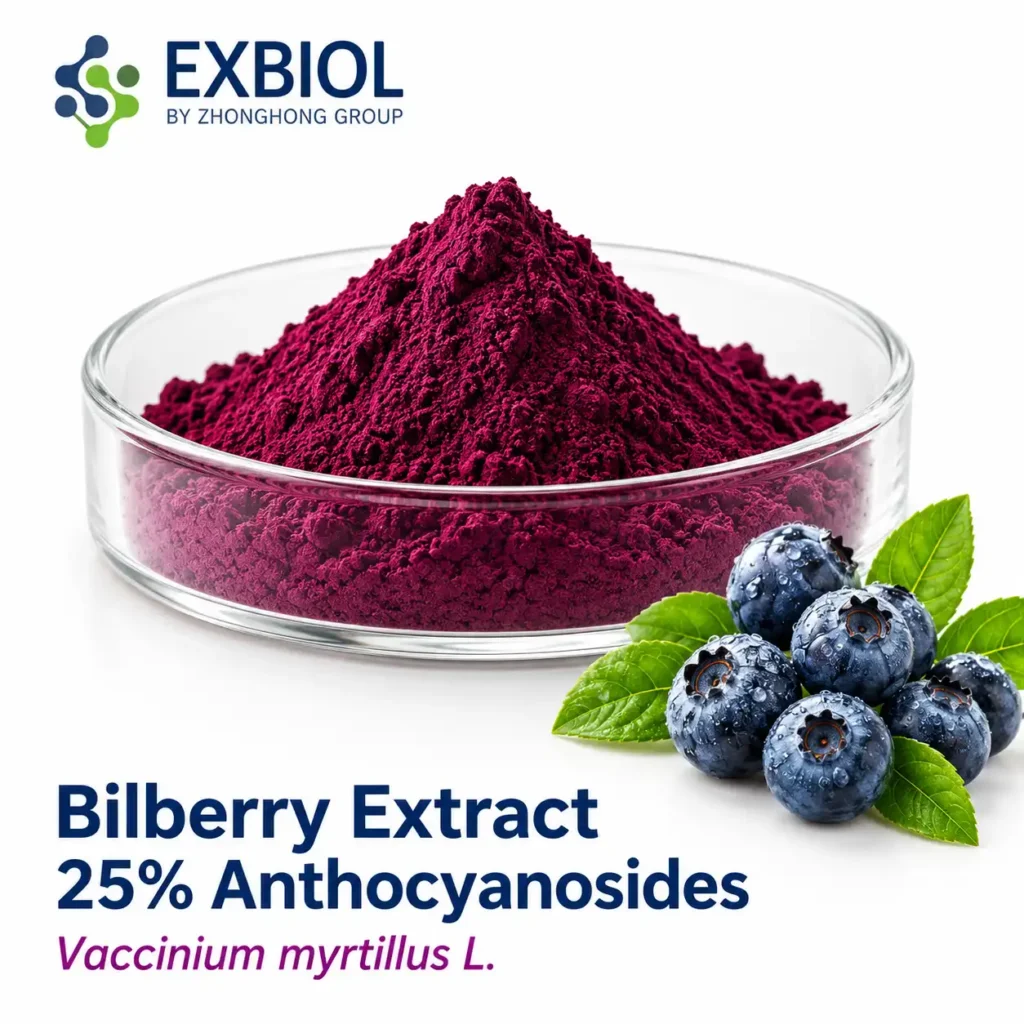 Bilberry extract 25% anthocyanosides by HPLC with 20% maltodextrin carrier