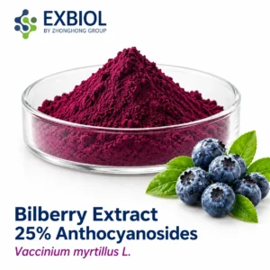 Bilberry extract 25% anthocyanosides by HPLC with 20% maltodextrin carrier