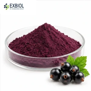 Blackcurrant Extract 25% HPLC anthocyanins from Ribes nigrum fruit