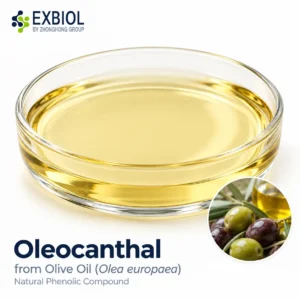 Oleocanthal vs hydroxytyrosol and oleuropein olive bioactives comparison